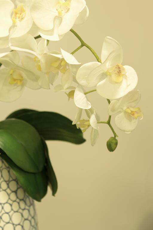Firenze Apartments מראה חיצוני תמונה